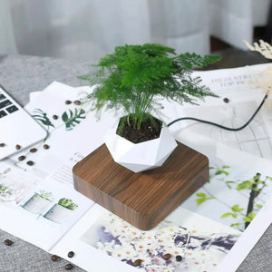 Levitating Air Bonsai Pot Rotation - Flower Pot Planters