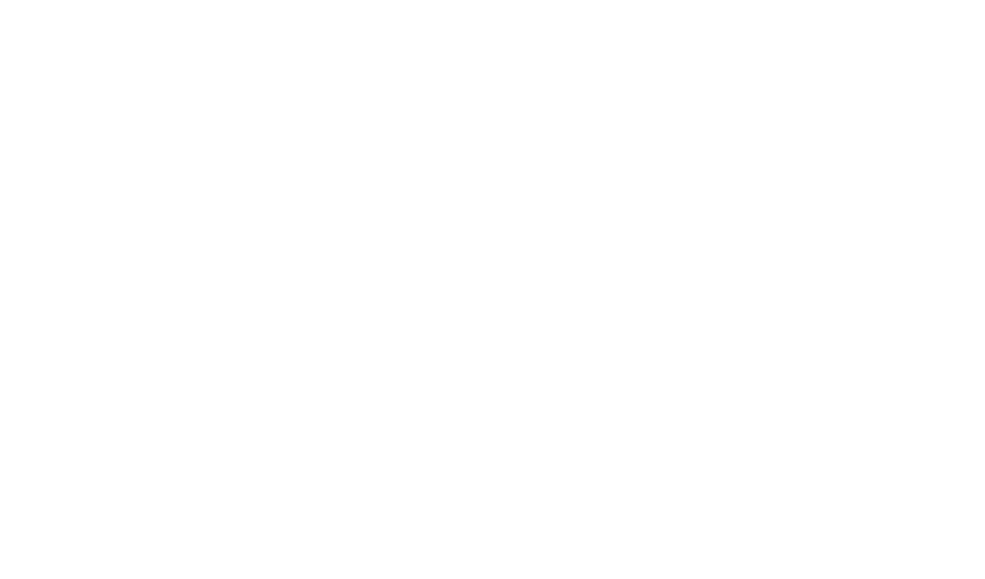 Turt.store